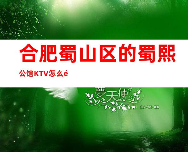 合肥蜀山区的蜀熙公馆KTV怎么预定，包厢消费贵吗？