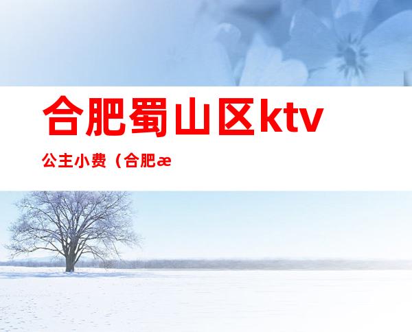 合肥蜀山区ktv公主小费（合肥有哪些ktv带公主）