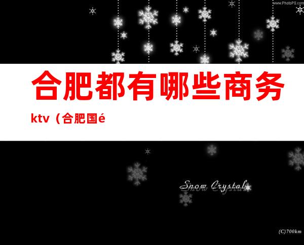 合肥都有哪些商务ktv（合肥国际商务职业学院）