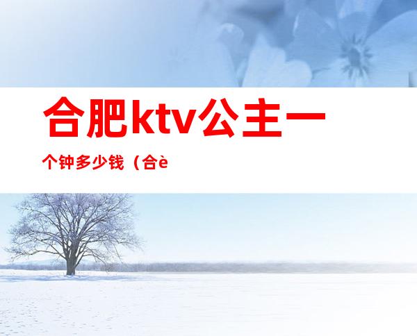 合肥ktv公主一个钟多少钱（合肥哪家ktv公主好）