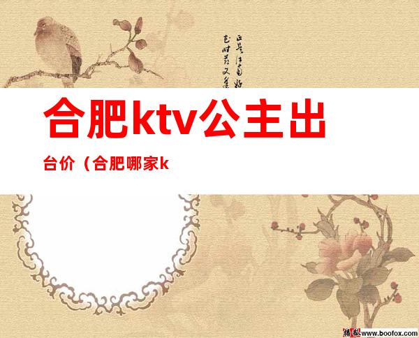 合肥ktv公主出台价（合肥哪家ktv公主好）