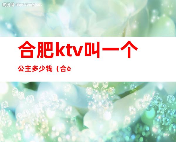 合肥ktv叫一个公主多少钱（合肥哪个ktv有公主）