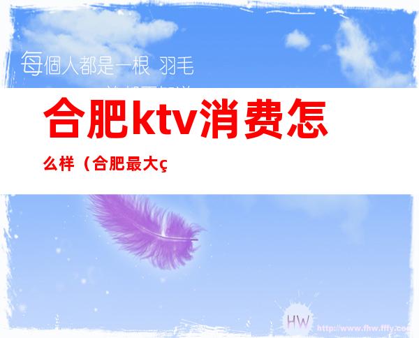 合肥ktv消费怎么样（合肥最大的KTV）