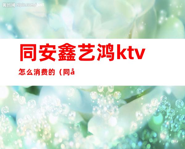 同安鑫艺鸿ktv怎么消费的（同安区鑫艺鸿KTV）