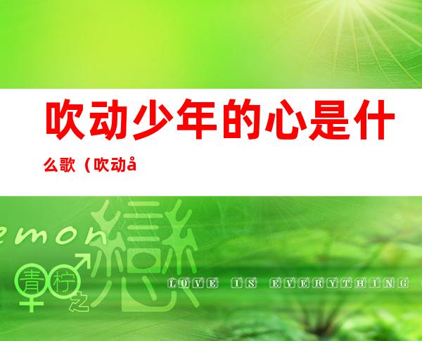 吹动少年的心是什么歌（吹动少年的心是什么歌名）