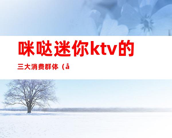 咪哒迷你ktv的三大消费群体（商场迷你ktv品牌）