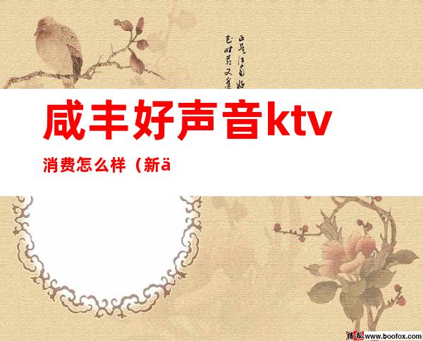 咸丰好声音ktv消费怎么样（新丰好声音ktv）