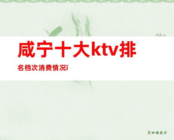 咸宁十大ktv排名档次消费情况（咸宁ktv一条街会坑你消费吗）