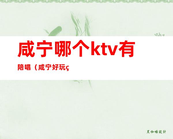 咸宁哪个ktv有陪唱（咸宁好玩的ktv）