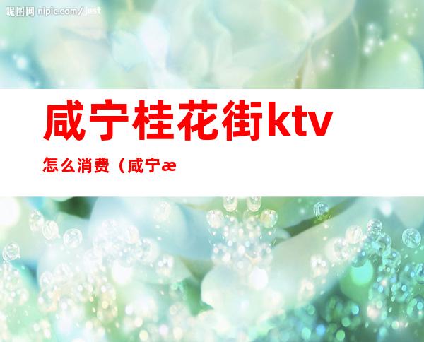 咸宁桂花街ktv怎么消费（咸宁桂花街ktv怎么消费的）