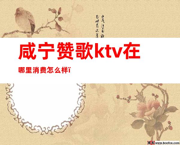 咸宁赞歌ktv在哪里消费怎么样（孝感赞歌ktv在哪里）