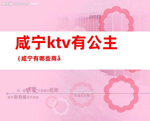 咸宁ktv有公主（咸宁有哪些商务KTV）