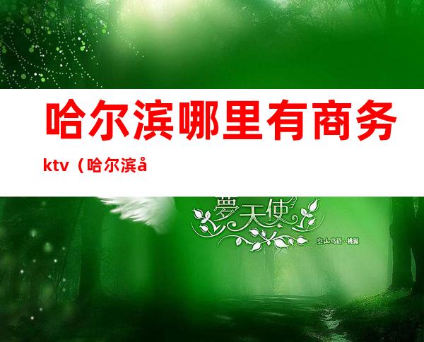 哈尔滨哪里有商务ktv（哈尔滨商务酒店有哪些）