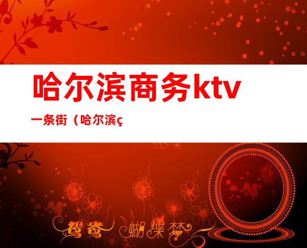 哈尔滨商务ktv一条街（哈尔滨的商务KTV）