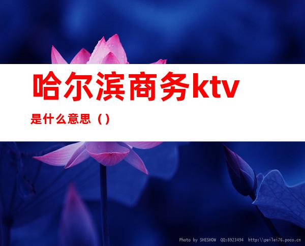 哈尔滨商务ktv是什么意思（）