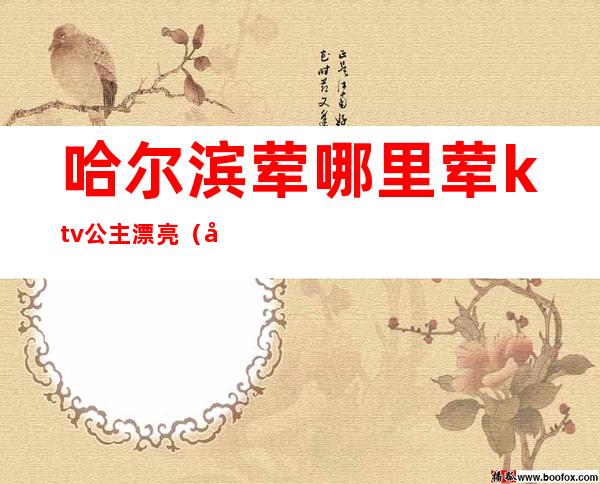 哈尔滨荤哪里荤ktv公主漂亮（哈尔滨最大ktv公主）