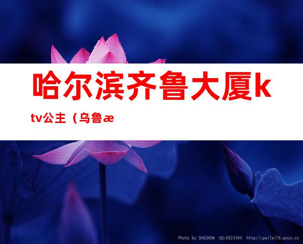 哈尔滨齐鲁大厦ktv公主（乌鲁木齐海大酒店ktv公主）