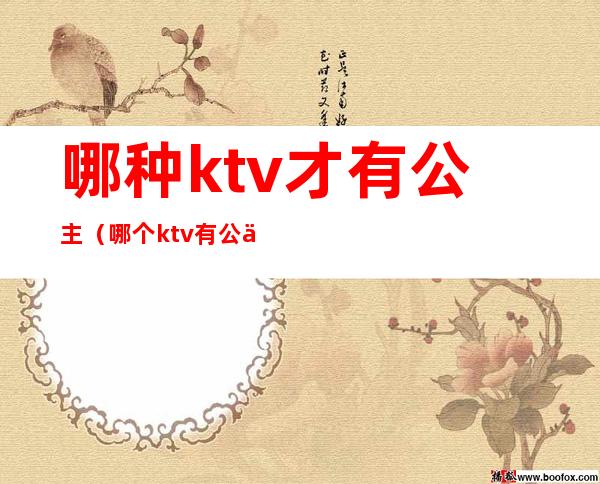 哪种ktv才有公主（哪个ktv有公主）