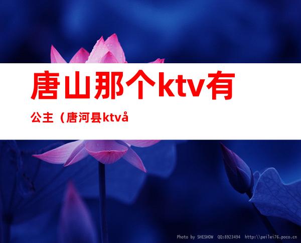 唐山那个ktv有公主（唐河县ktv公主价）