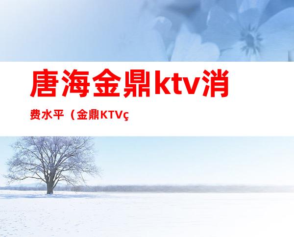 唐海金鼎ktv消费水平（金鼎KTV电话多少）