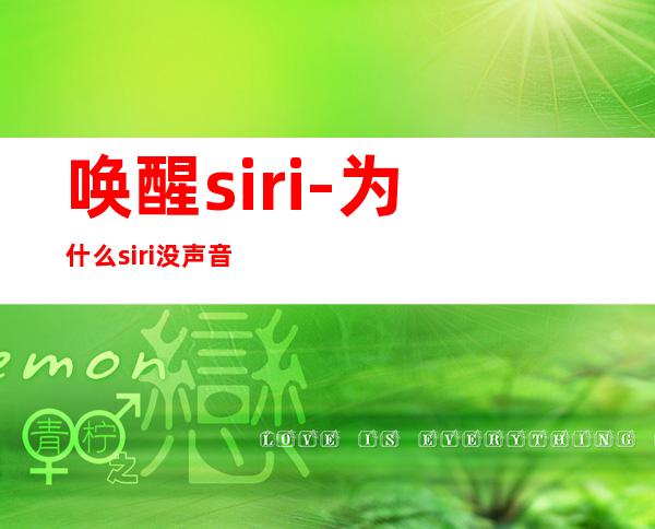 唤醒siri-为什么siri没声音