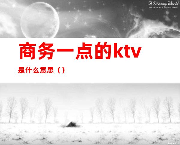 商务一点的ktv是什么意思（）