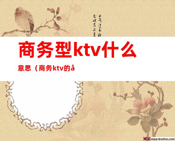 商务型ktv什么意思（商务ktv的区别）