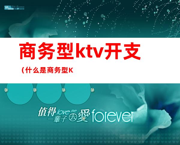 商务型ktv开支（什么是商务型KTV）