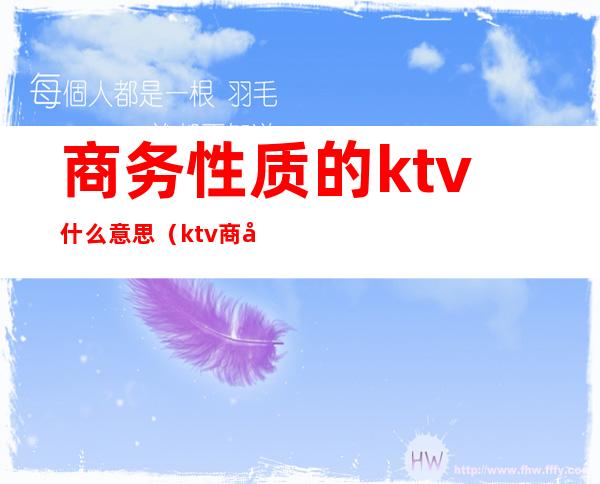 商务性质的ktv什么意思（ktv商务是什么意思）