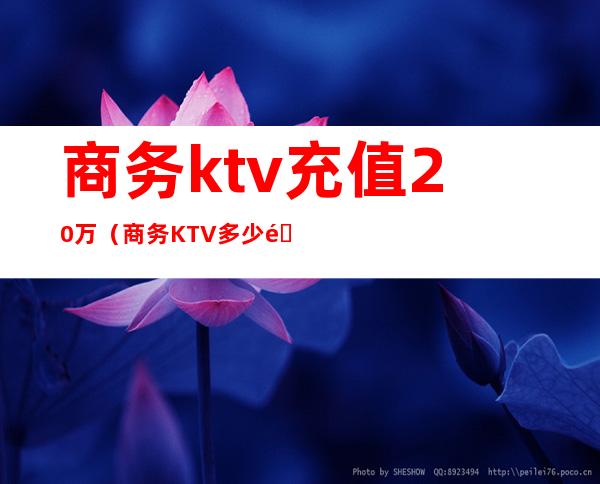 商务ktv充值20万（商务KTV多少钱）