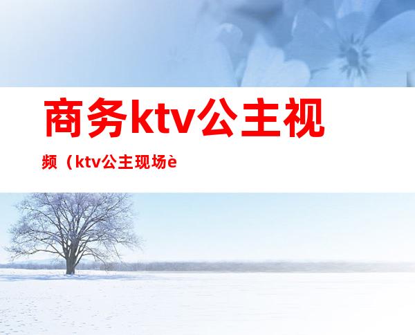 商务ktv公主视频（ktv公主现场视频）