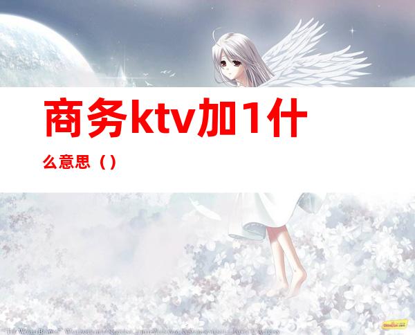 商务ktv加1什么意思（）