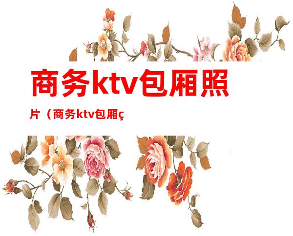 商务ktv包厢照片（商务ktv包厢照片大全）