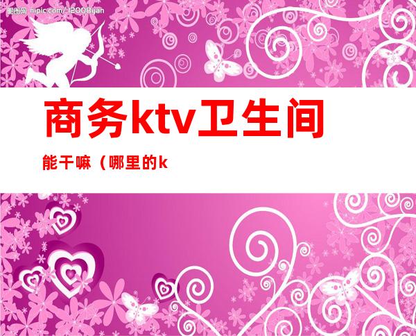 商务ktv卫生间能干嘛（哪里的ktv有独立卫生间）