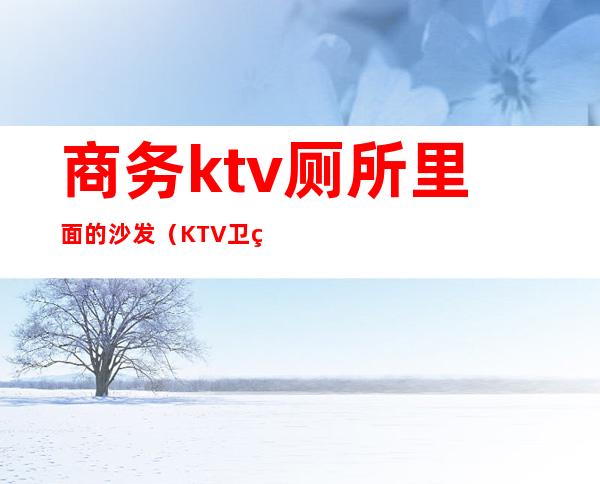 商务ktv厕所里面的沙发（KTV卫生间沙发）