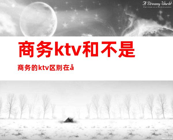 商务ktv和不是商务的ktv区别在哪里（）