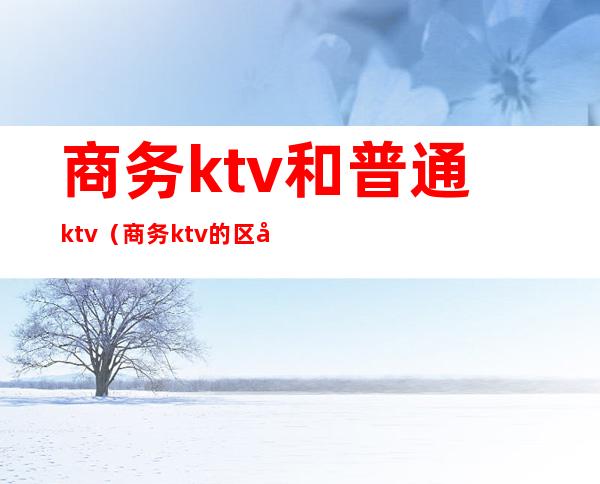 商务ktv和普通ktv（商务ktv的区别）