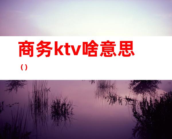 商务ktv啥意思（）