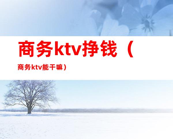 商务ktv挣钱（商务ktv能干嘛）