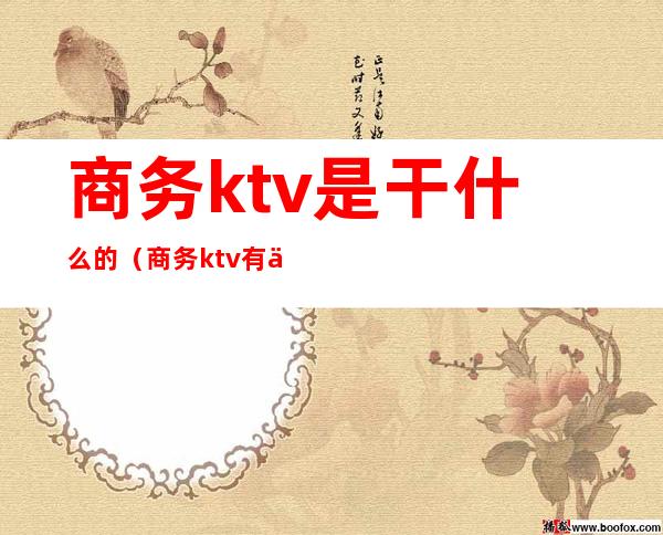 商务ktv是干什么的（商务ktv有什么）