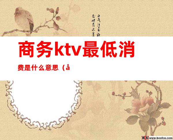 商务ktv最低消费是什么意思（商务KTV是什么意思）