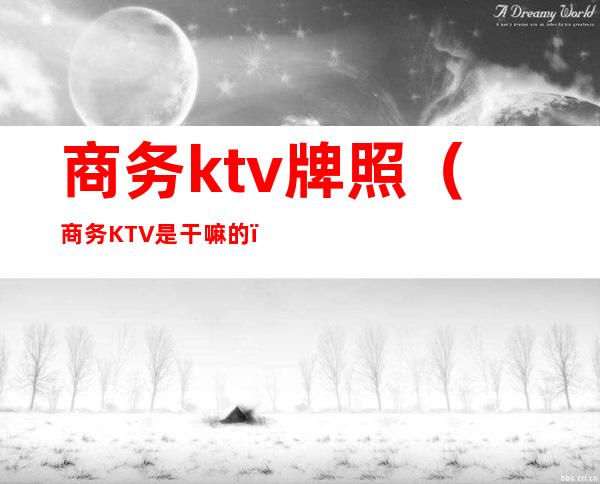 商务ktv牌照（商务KTV是干嘛的）