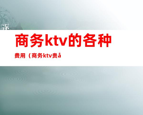 商务ktv的各种费用（商务ktv贵吗）