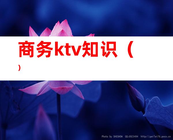 商务ktv知识（）