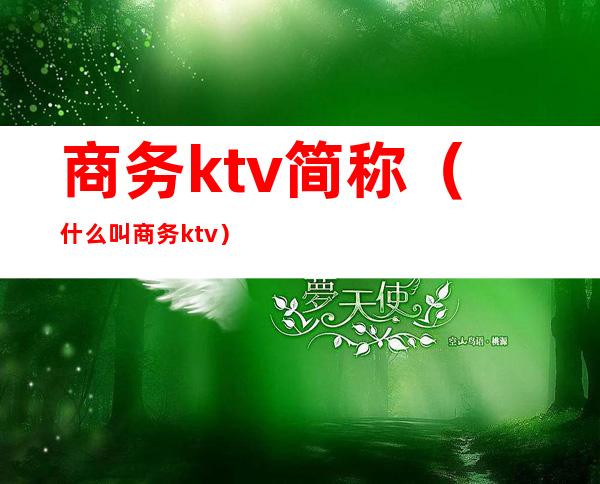 商务ktv简称（什么叫商务ktv）