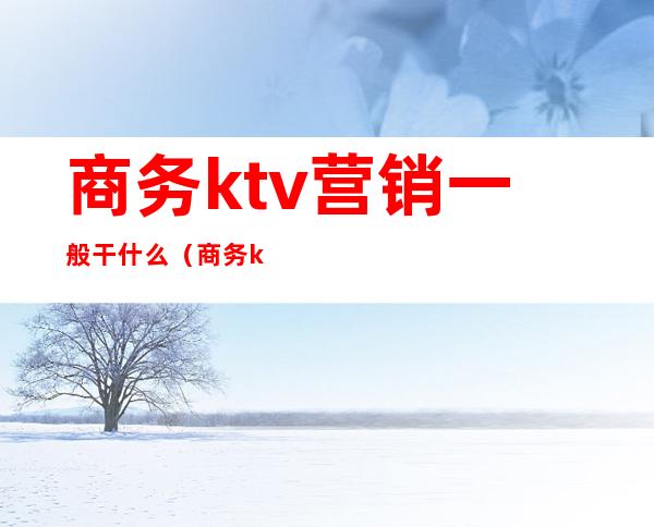 商务ktv营销一般干什么（商务ktv能干什么）