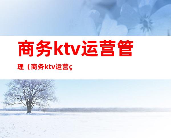 商务ktv运营管理（商务ktv运营管理方案）