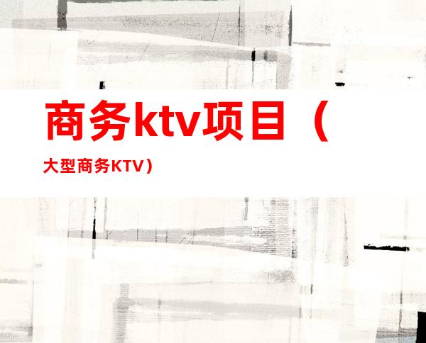 商务ktv项目（大型商务KTV）