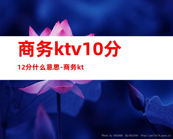 商务ktv10分12分什么意思-商务ktv10分场什么意思