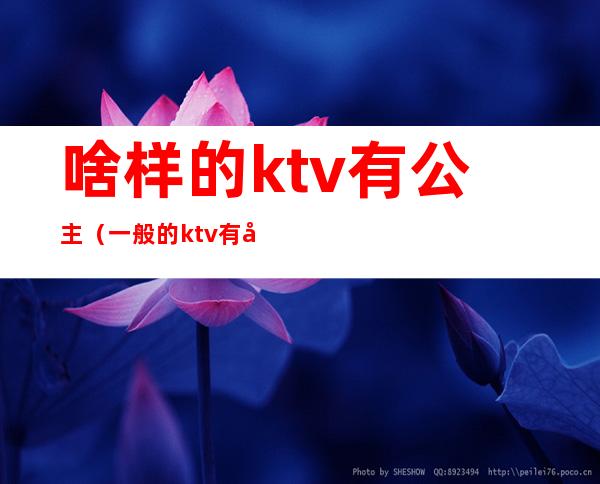 啥样的ktv有公主（一般的ktv有公主吗）